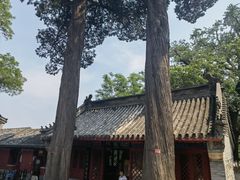 -北京凤凰岭