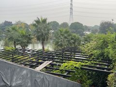 -桃园农庄·桃源宴