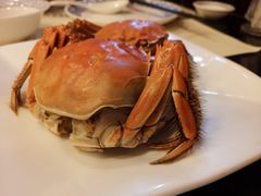 -南翔馒头店(豫园店)