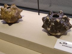 -大连金州博物馆