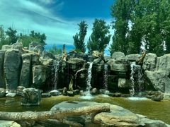 -北京野生动物园