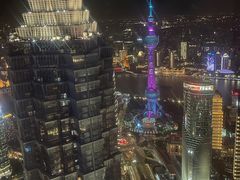 -上海柏悦酒店
