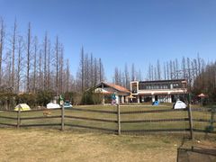 -前小桔亲子创意农场·草莓采摘·露营烧烤