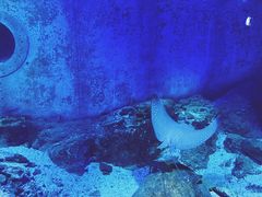 -大连圣亚海洋世界