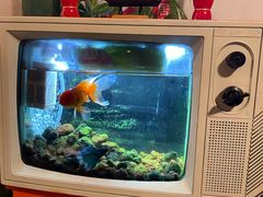 -永安里地摊烤肉(首创店)