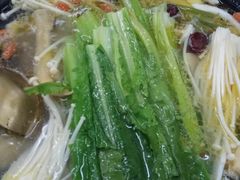-金勺子原汤椰子鸡