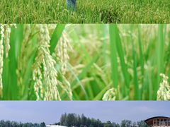 -中国天府农业博览园