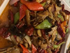 -寂寞的豆芽(龙泽路店)