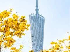 -洲头咀公园
