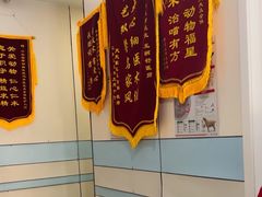 -中农国际动物医院24小时·猫科·骨科·急重症中心