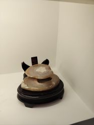 -ZELL·泽尔医疗美容