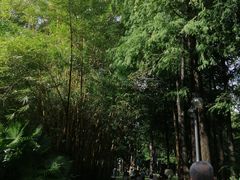 -晓港公园