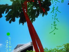 -帽儿山国家森林公园