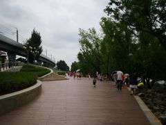 -宝安西湾红树林湿地公园