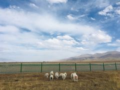 -青海湖国家重点风景名胜区