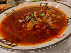 -清雅轩·清真菜·春饼•烤鸭(滑翔店)