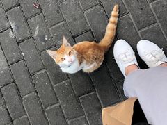 -云南路美食街