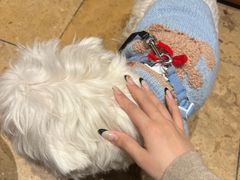 -Ten Olives甜点