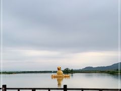 -野鸭湖国家湿地公园