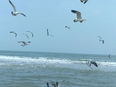 -那香海钻石沙滩浴场
