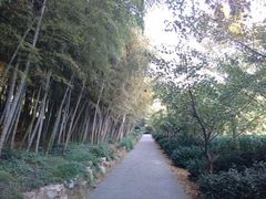 android_upload_pic-旺山景区