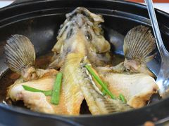 清蒸石斑鱼-ZF Seafood Restaurant 卓峰海鲜餐