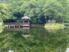 -上海滨江森林公园