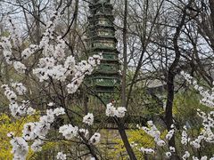 -文瀛公园