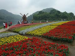 -广州市石门国家森林公园
