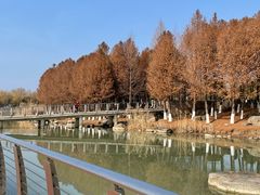 -滆湖低碳生态公园