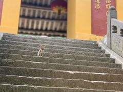-冶父山国家森林公园