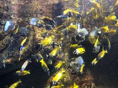 -太平洋海底世界