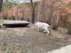 -齐齐哈尔龙沙动植物园