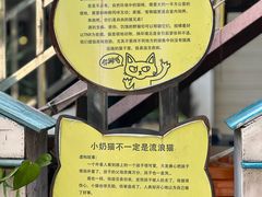 -猫街饭团(顶澳仔猫街店)