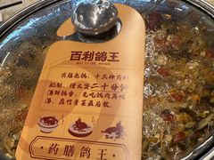 -百利鸽王(紫薇路店)