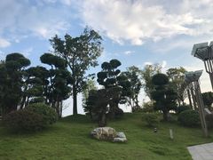 -东旭阳光国际大酒店