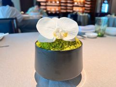 -明州府(文化广场店)