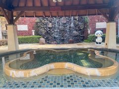 -天目湖涵田半山温泉