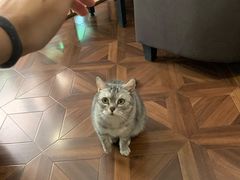 -隅cafe(傅厚岗店)