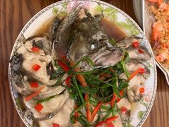 -田螺阿姨自营月嫂·育儿嫂(高新店)
