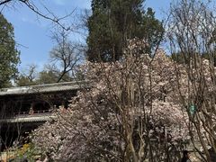 -潭柘寺景区
