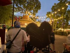 -奥兰多迪士尼动物王国乐园