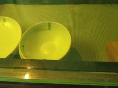 -辛香汇(大华第一坊店)