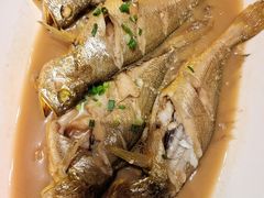 -单家老院·院子里的青岛菜(沙子口店)