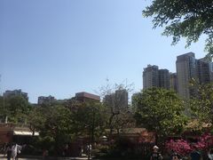 -晋江五店市传统文化旅游区