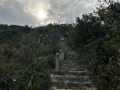-杨梅坑