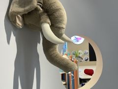 -moll学习桌椅(上海久光百货店)