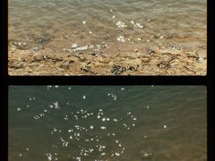 -水濂山森林公园