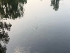 -百脉泉景区
