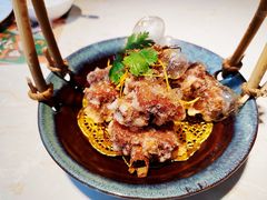 -点都德·毕德寮